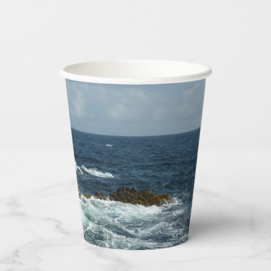 Gobelets En Papier La côte rocheuse d'Aruba (Verso)