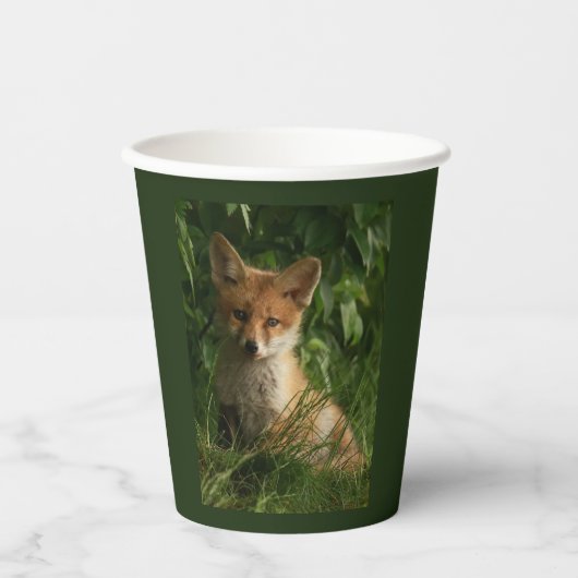 Gobelets En Papier Le renard mignon dans une forêt verte Photo (Recto)