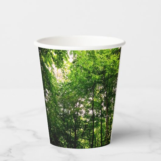 Gobelets En Papier Les arbres verts (Recto)