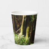 Gobelets En Papier Les séquoias et les fougères du parc national Redw (Recto)