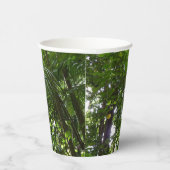 Gobelets En Papier Lumière du soleil à travers la canopée de la forêt (Droite)