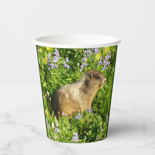Gobelets En Papier Marmot dans le Mont Rainier Fleurs sauvages (Recto)
