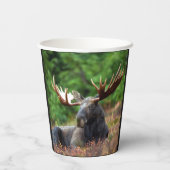 Gobelets en papier Moose (Verso)