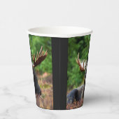 Gobelets en papier Moose (Droite)