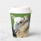 GOBELETS EN PAPIER MOQUETTE (Verso)