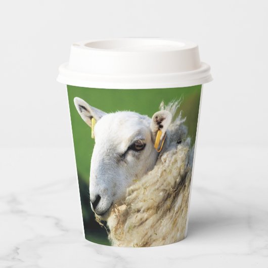 GOBELETS EN PAPIER MOQUETTE (Verso)