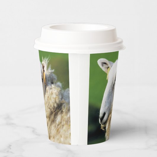 GOBELETS EN PAPIER MOQUETTE (Droite)