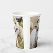 Gobelets En Papier Mouton (Droite)