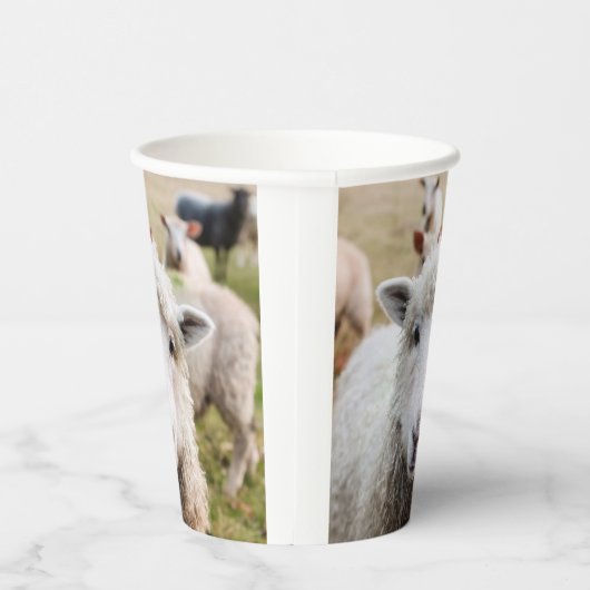 Gobelets En Papier Mouton (Droite)