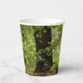 Gobelets En Papier Muir Woods Path II Nature Photography (Verso)