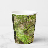 Gobelets En Papier Muir Woods Path II Nature Photography (Droite)