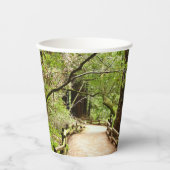 Gobelets En Papier Muir Woods Path II Nature Photography (Recto)