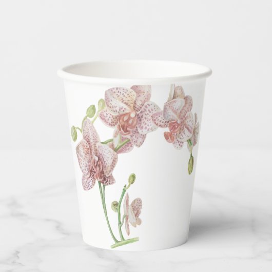 Gobelets En Papier Orchidée à main levée (Recto)
