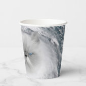 Gobelets En Papier Ouragan Cat 5 (Verso)