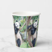 Gobelets En Papier Ours de panda dans des tasses de papier d'arbre (Verso)