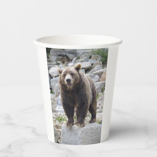 Gobelets En Papier Ours kodiak (Recto)