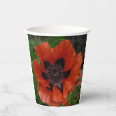 Gobelets En Papier Pavot oriental (Recto)