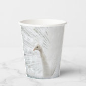 Gobelets En Papier Peacock blanc belles plumes (Recto)