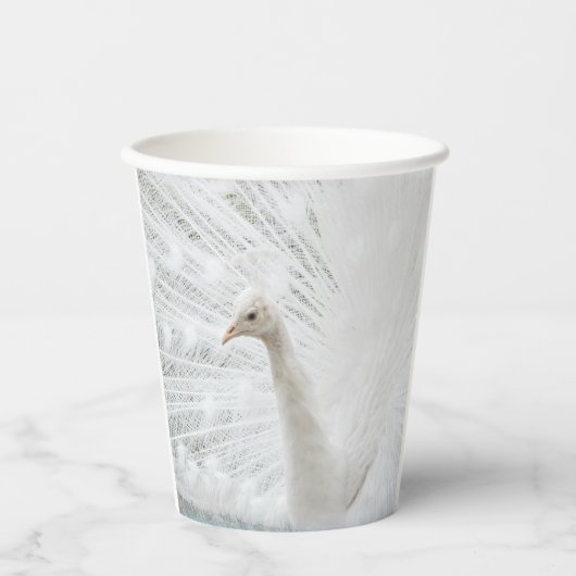 Gobelets En Papier Peacock blanc belles plumes (Recto)