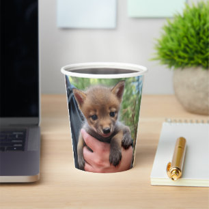 Gobelets En Papier Petit Coyote