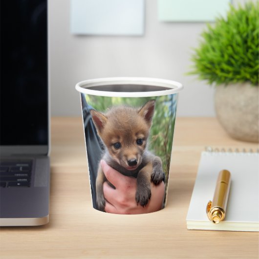 Gobelets En Papier Petit Coyote (Insitu)