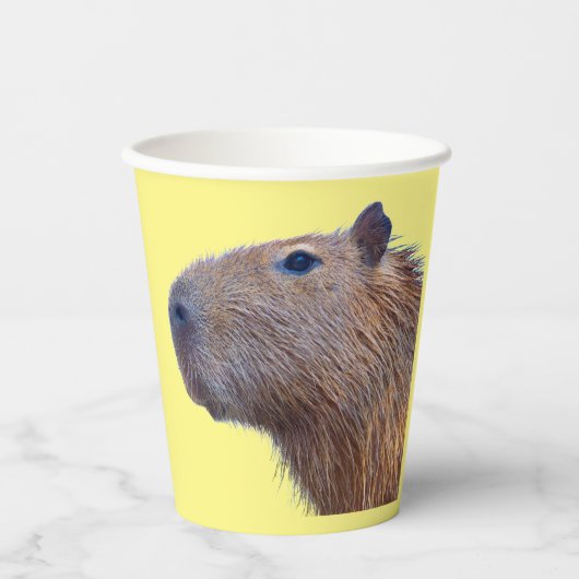 Gobelets En Papier Plaques de papier Capybara (Recto)