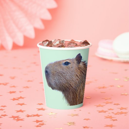 Gobelets En Papier Plaques de papier Capybara (Insitu)