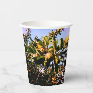 Gobelets En Papier Pommes