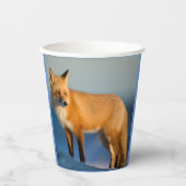 Gobelets En Papier Renard Brown (Recto)