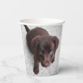 Gobelets En Papier Robot Lab (Verso)