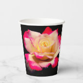 Gobelets En Papier Rose (Verso)