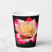 Gobelets En Papier Rose (Recto)