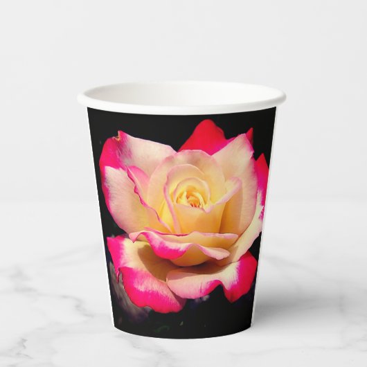 Gobelets En Papier Rose (Recto)