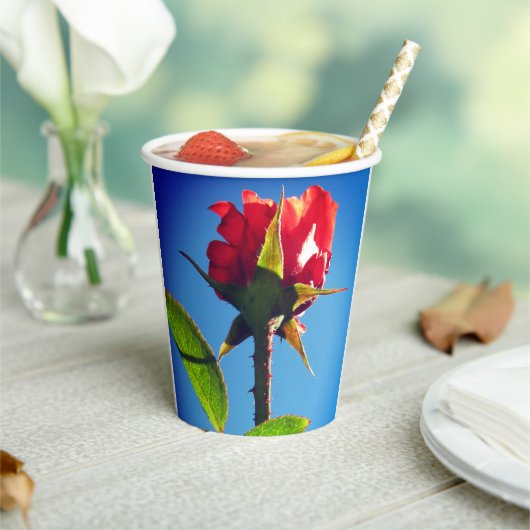 Gobelets En Papier Rose (Insitu)
