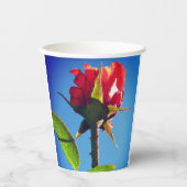 Gobelets En Papier Rose (Recto)