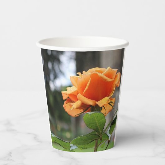 Gobelets En Papier Rose (Verso)