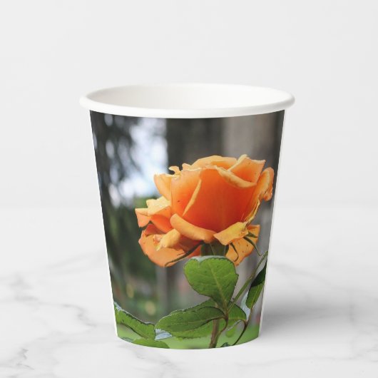Gobelets En Papier Rose (Recto)