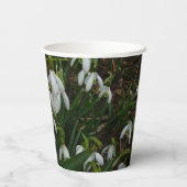Gobelets En Papier Snowdrops I (Verso)