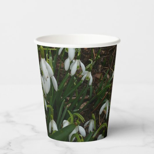 Gobelets En Papier Snowdrops I (Verso)