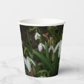 Gobelets En Papier Snowdrops I (Recto)