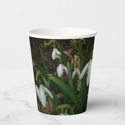 Gobelets En Papier Snowdrops I (Recto)