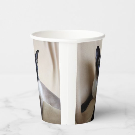 Gobelets En Papier Superbe visage de chat siamois (Droite)