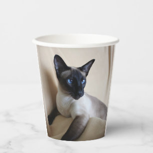 Gobelets En Papier Superbe visage de chat siamois