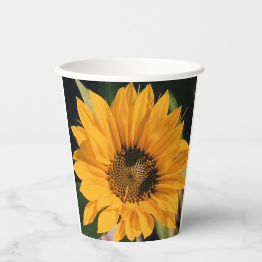 Gobelets En Papier Tasses de papier tournesol (Recto)