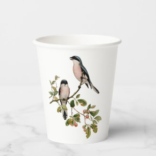 Gobelets En Papier Tasses vintages en papier aux beaux oiseaux