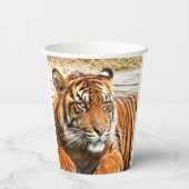 Gobelets En Papier Tigre (Verso)