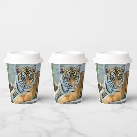 Gobelets En Papier Tigre 034 (Multi)