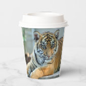 Gobelets En Papier Tigre 034 (Verso)