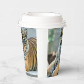 Gobelets En Papier Tigre 034 (Droite)