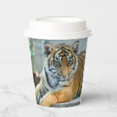 Gobelets En Papier Tigre 034 (Recto)